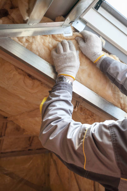 Best Insulation Air Sealing  in Chandler, TX