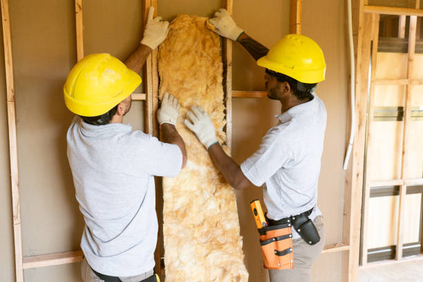 Best Reflective Insulation  in Chandler, TX