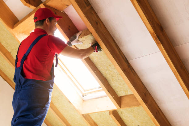 Best Garage Insulation  in Chandler, TX